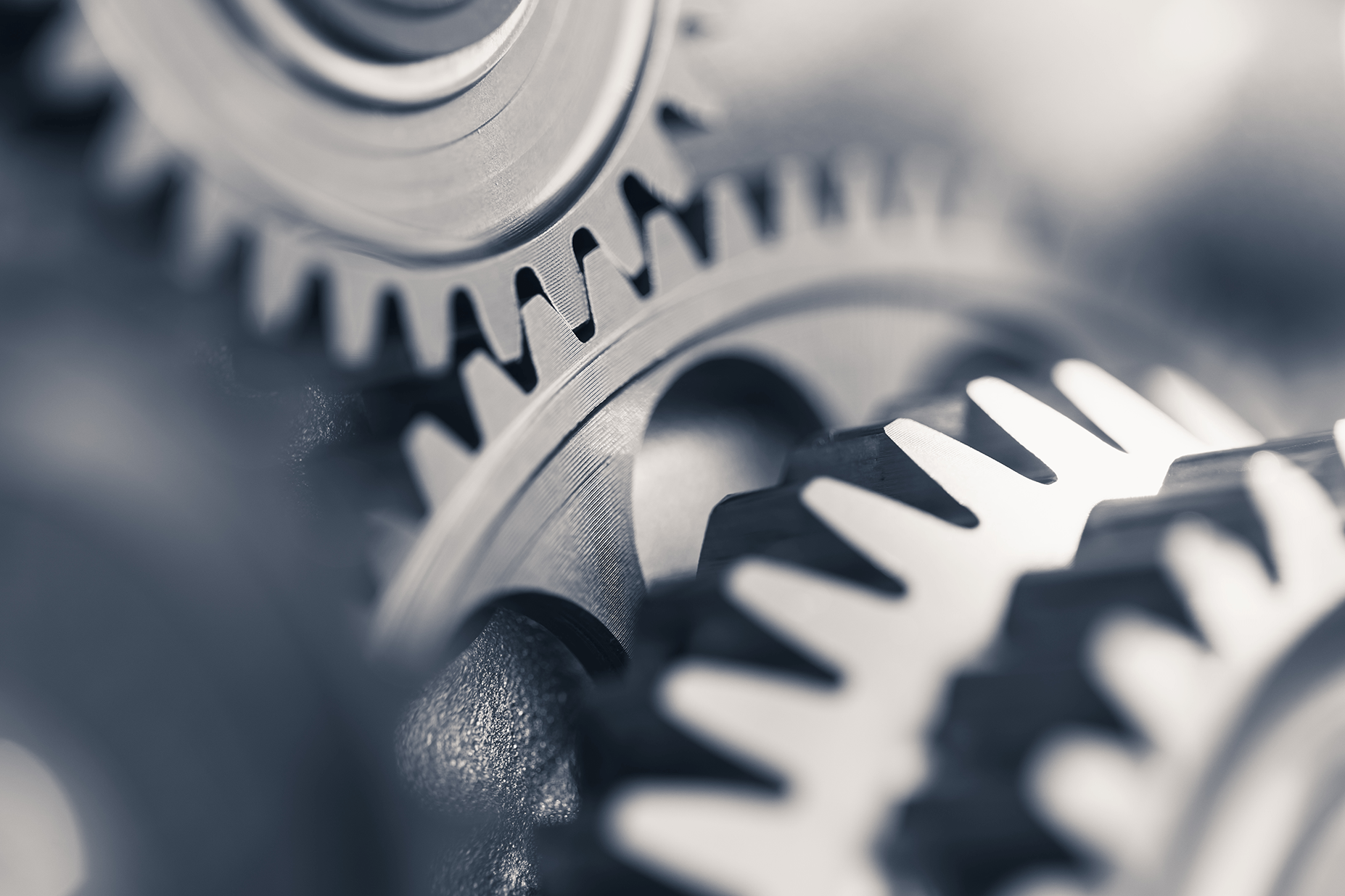 Read more about the article Launch of new version